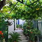 Vinea